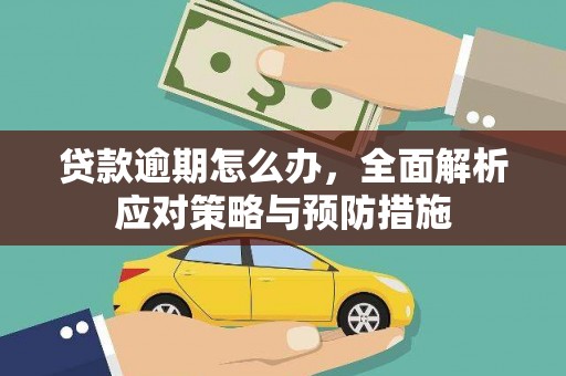 莱山贷款逾期怎么办，全面解析应对策略与预防措施
