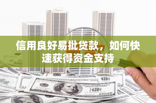 莱山信用良好易批贷款，如何快速获得资金支持