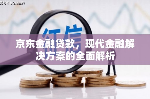 莱山京东金融贷款，现代金融解决方案的全面解析