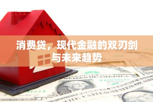 莱山消费贷，现代金融的双刃剑与未来趋势