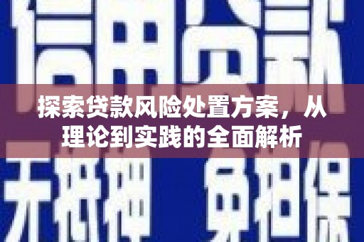 莱山探索贷款风险处置方案，从理论到实践的全面解析