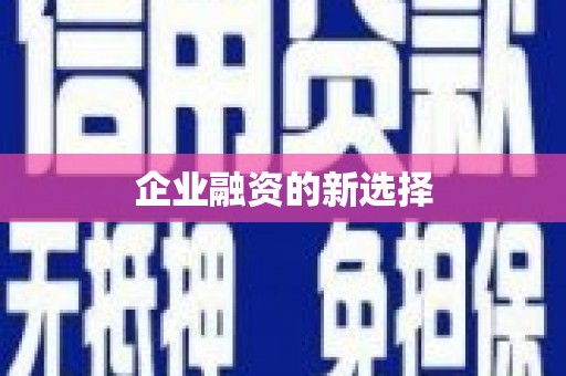 莱山企业融资的新选择