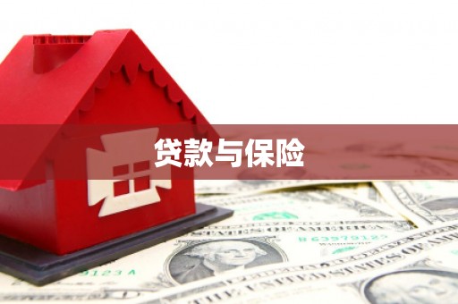 莱山贷款与保险