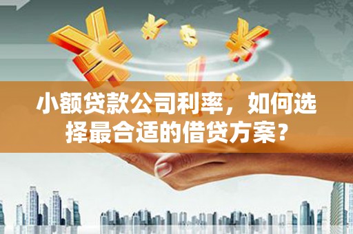 莱山小额贷款公司利率，如何选择最合适的借贷方案？