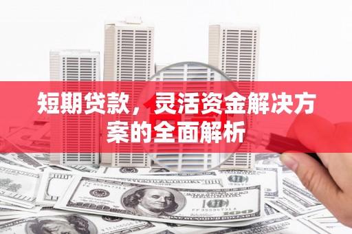 莱山短期贷款，灵活资金解决方案的全面解析