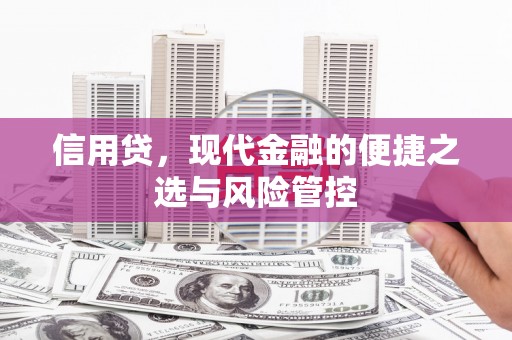 莱山信用贷，现代金融的便捷之选与风险管控