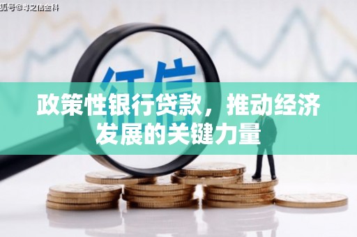 莱山政策性银行贷款，推动经济发展的关键力量