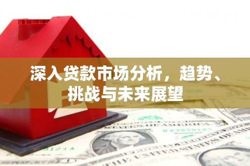 莱山深入贷款市场分析，趋势、挑战与未来展望