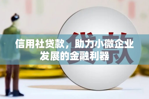 莱山信用社贷款，助力小微企业发展的金融利器