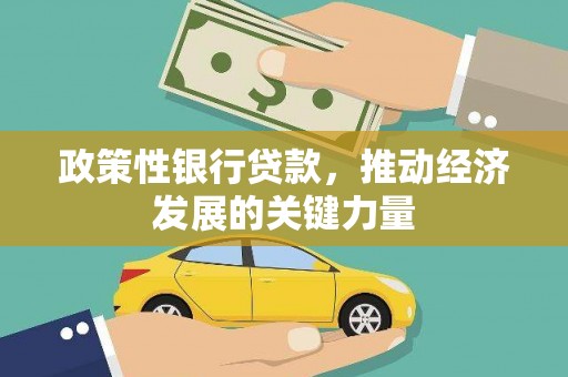 莱山政策性银行贷款，推动经济发展的关键力量
