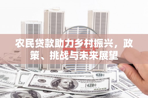 莱山农民贷款助力乡村振兴，政策、挑战与未来展望