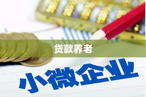 莱山贷款养老