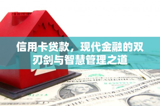 莱山信用卡贷款，现代金融的双刃剑与智慧管理之道