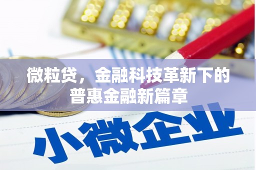 莱山微粒贷，金融科技革新下的普惠金融新篇章