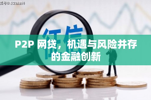 莱山P2P 网贷，机遇与风险并存的金融创新