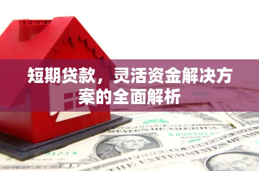 莱山短期贷款，灵活资金解决方案的全面解析