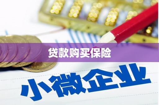 莱山贷款购买保险