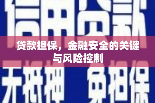 莱山贷款担保，金融安全的关键与风险控制