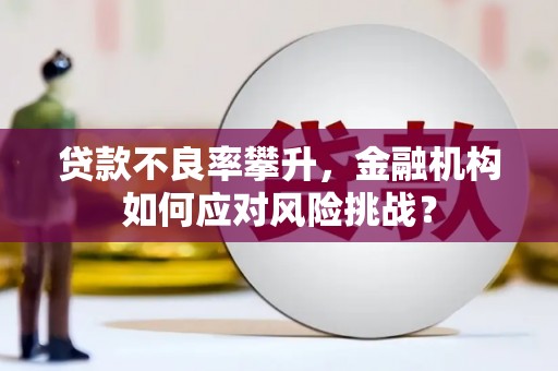 莱山贷款不良率攀升，金融机构如何应对风险挑战？