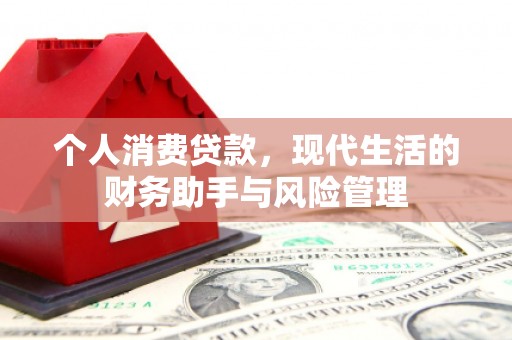 莱山个人消费贷款，现代生活的财务助手与风险管理