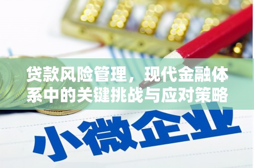 莱山贷款风险管理，现代金融体系中的关键挑战与应对策略