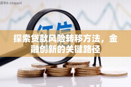 莱山探索贷款风险转移方法，金融创新的关键路径