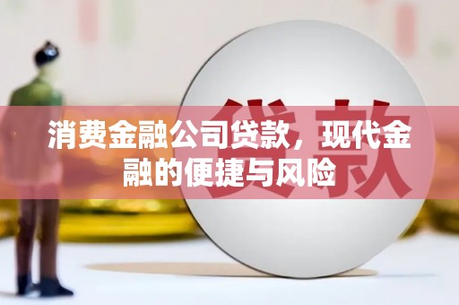 莱山消费金融公司贷款，现代金融的便捷与风险