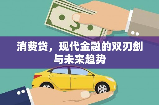 莱山消费贷，现代金融的双刃剑与未来趋势