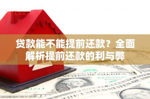 莱山贷款能不能提前还款？全面解析提前还款的利与弊