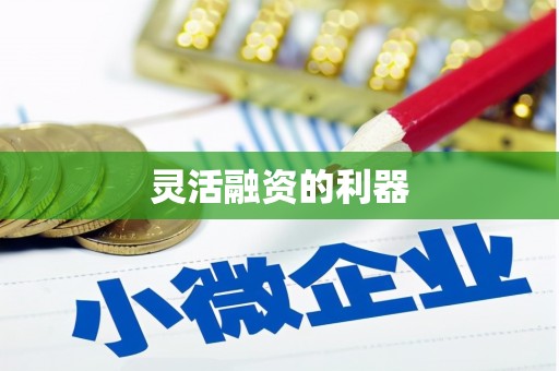 莱山灵活融资的利器