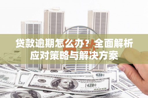 莱山贷款逾期怎么办？全面解析应对策略与解决方案