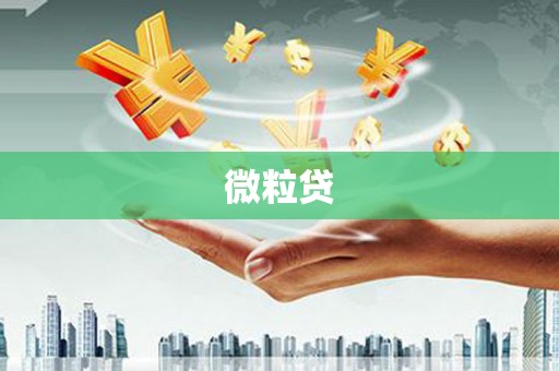 莱山微粒贷
