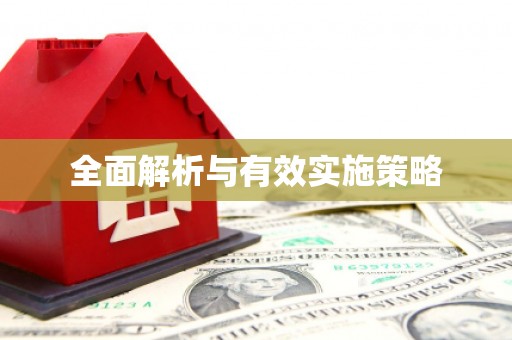 莱山全面解析与有效实施策略