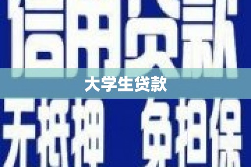 莱山大学生贷款