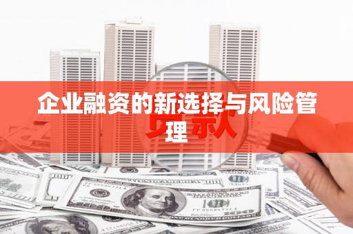 莱山企业融资的新选择与风险管理