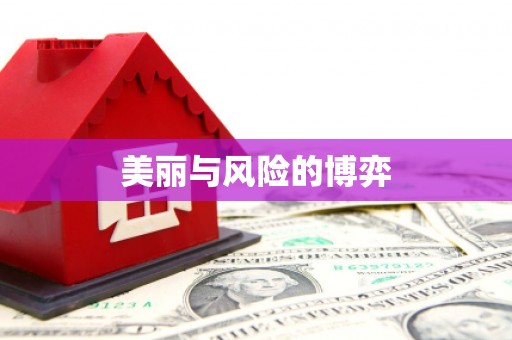 莱山美丽与风险的博弈