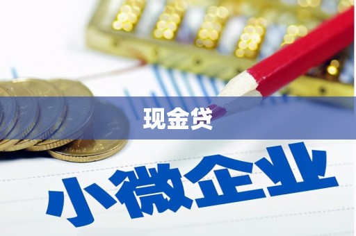 莱山现金贷