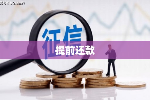 莱山提前还款