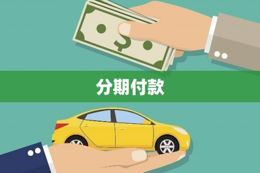 莱山分期付款