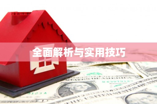 莱山全面解析与实用技巧