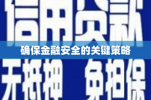 莱山确保金融安全的关键策略