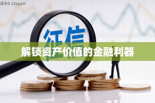 莱山解锁资产价值的金融利器