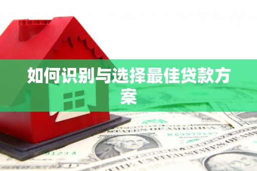 莱山如何识别与选择最佳贷款方案