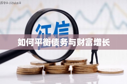 莱山如何平衡债务与财富增长