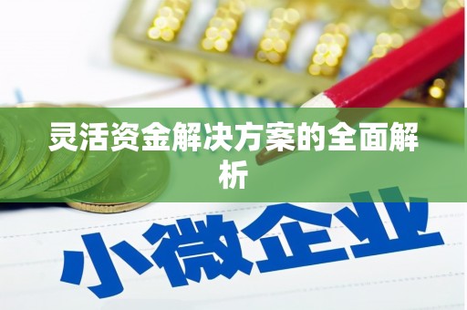莱山灵活资金解决方案的全面解析