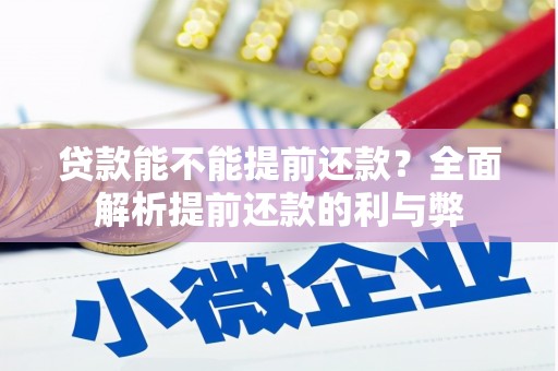 莱山贷款能不能提前还款？全面解析提前还款的利与弊