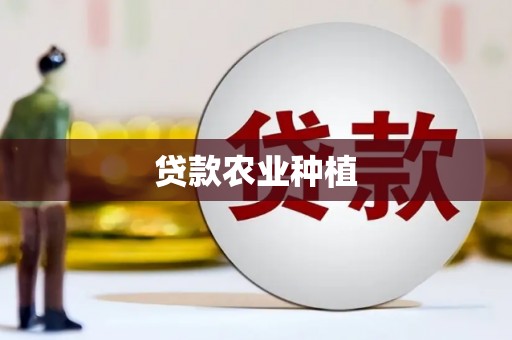 莱山贷款农业种植