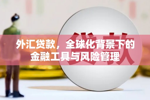 莱山外汇贷款，全球化背景下的金融工具与风险管理
