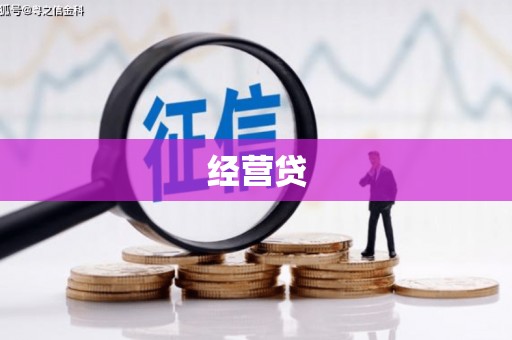 莱山经营贷
