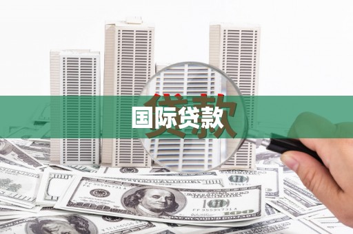 莱山国际贷款